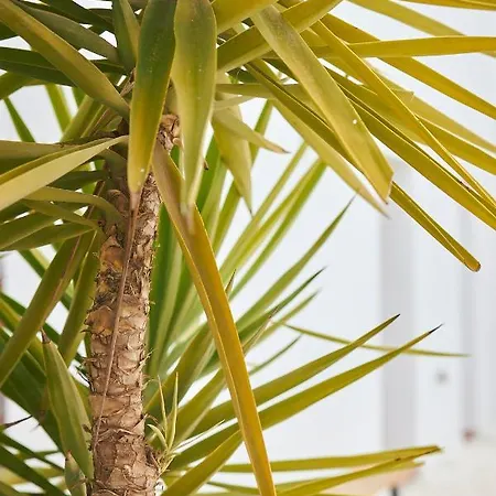 Calmas Boutique & Retreats Moraleda De Zafayona